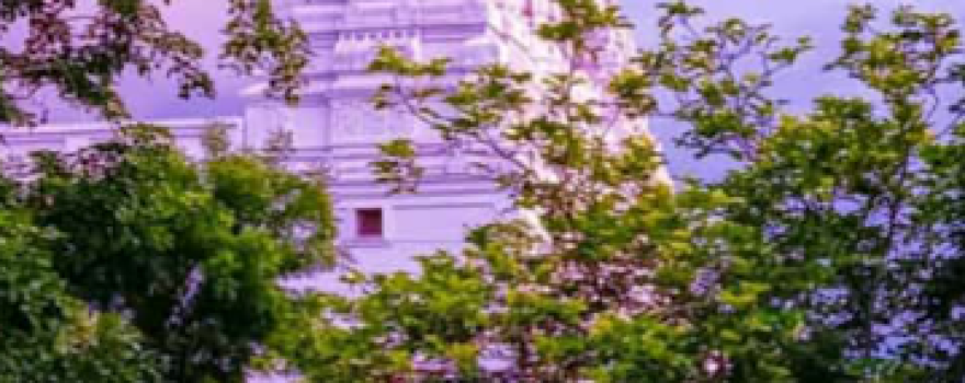 Shree Sant Khaptinath Maharaj Sansthan Bagapur