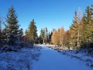 Jagodna 977 m n.p.m. z wieżą widokową