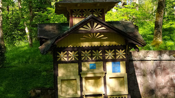 Central Park Adamivka