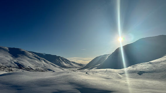 Senja