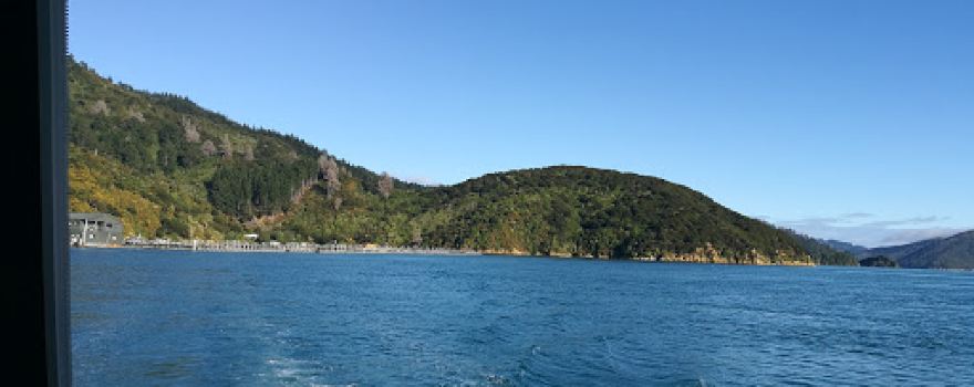 Te Pangu Bay