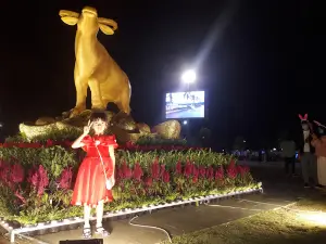 Hoai Nhon town square