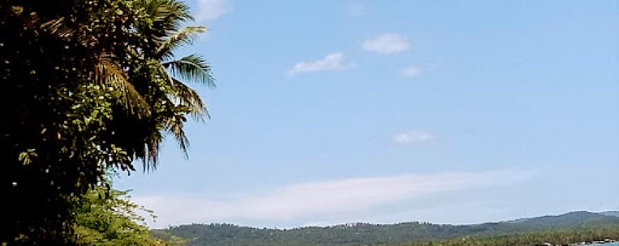 Long Beach, Mulanay