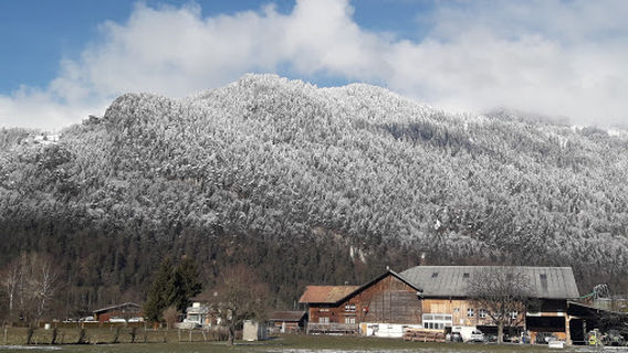 Unterseen