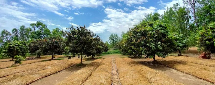 Fertile Beeghas Vermicompost Farm