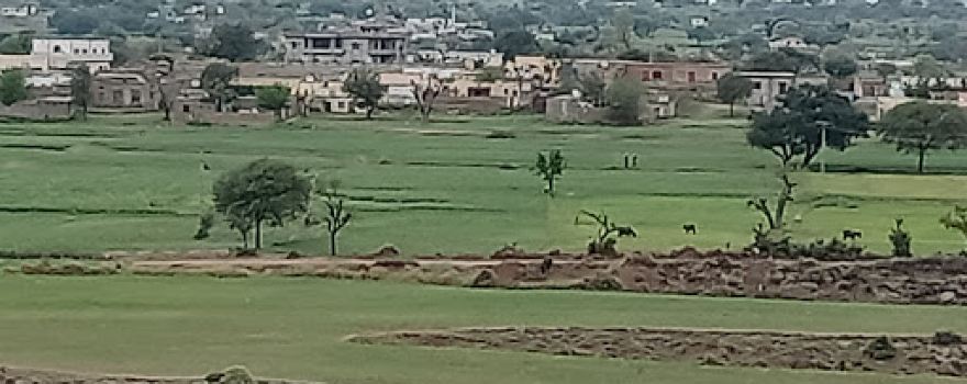 بلال مسجد حسن جمال مصطفیٰ خالصہ اندان کشمیر کالونی