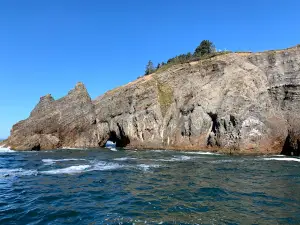 Garibaldi Charters