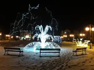 Dąb Wolności