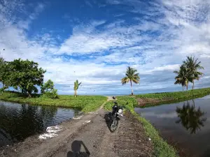 Pantai Salokaili