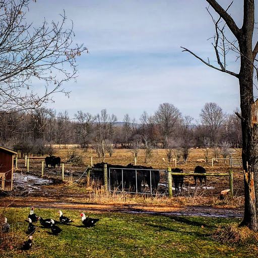 Walnut Hill Farm