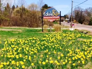 Eckels Pottery and Fine Craft Gallery