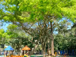 Parque Infantil Luiza Lúcia Varella