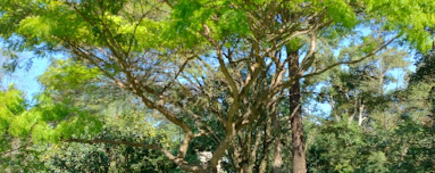 Parque Infantil Luiza Lúcia Varella