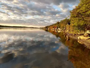 Swan Lake