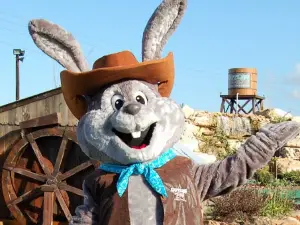 Outlaw Pass