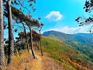 Mt Sielkal Peak (Tumjang)