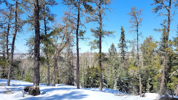 Top of the World Trail