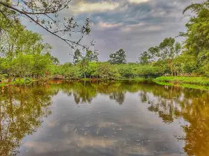 Recreational Park Dario Haupental