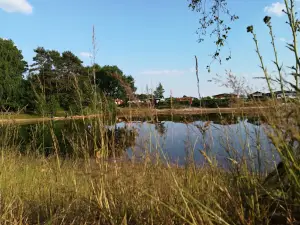 Heidehof Jansen - Olliges