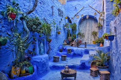 Chefchaouen Gate