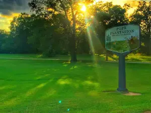 Pope Plantation: Deer and Quail Hunting