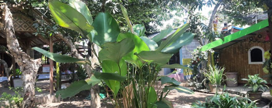 Kolam renang kampung durian. Harga tiket Rp.12000