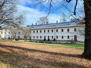 Zamek Cieszyn