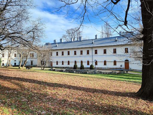 Zamek Cieszyn