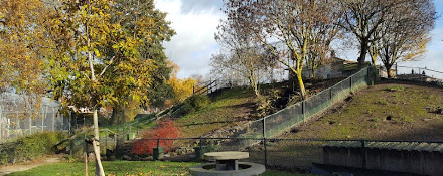 Kleindierwandelpark Hedel