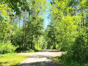 Ottawa Lake Recreation Area