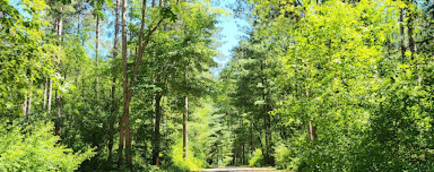 Ottawa Lake Recreation Area