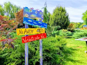 Parcul de Aventură Comana
