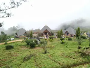 Ponmudi Upper Sanatorium