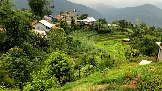 Shanti Bal Udyaan Park शान्ति बाल उद्यान पार्क Shanti Children Park