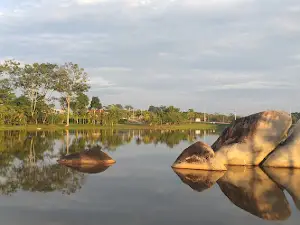 Bosque Ecológico