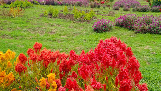 Taman Wisata Pelangi