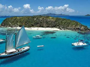 Petit Saint Vincent