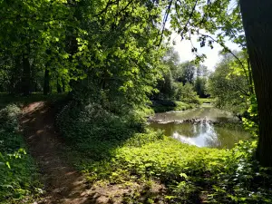 Старый Парк. Лотошино. Московкая Область