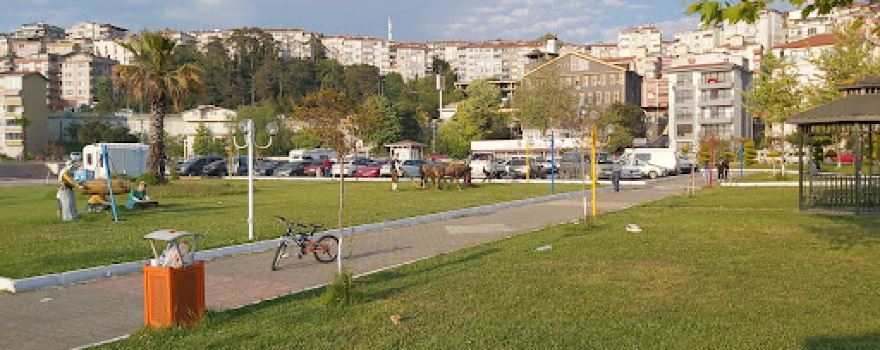 Alaplı Parkı