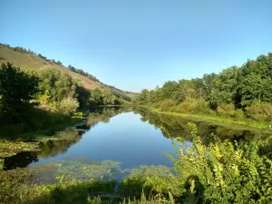 Fedorovskiye Luga