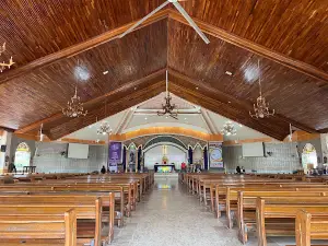 Cathedral of San Nicolas de Tolentino - Mati City
