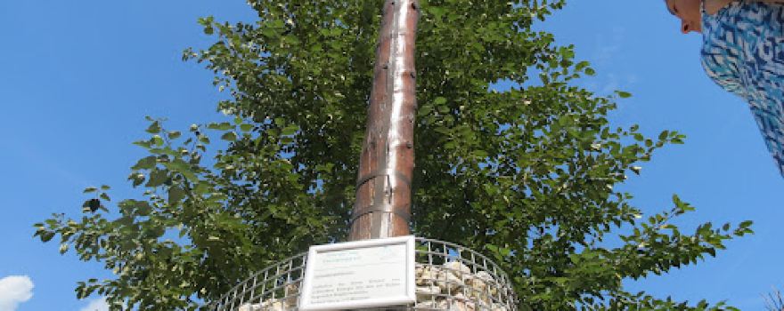 Energiegarten Hoffmann