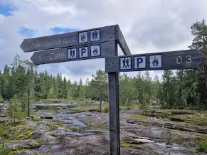 Mårdseleforsen