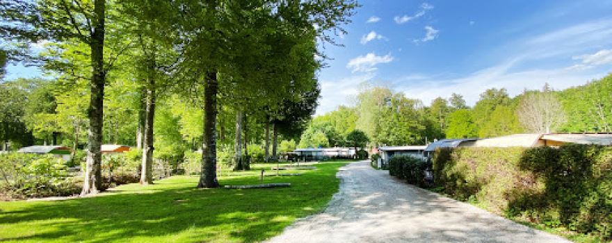 Camping Ambach am See
