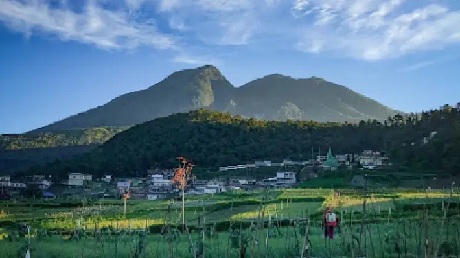Pasar Dieng Gunung Lawu