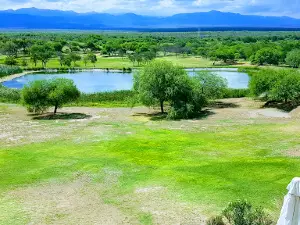 Guachipas Golf