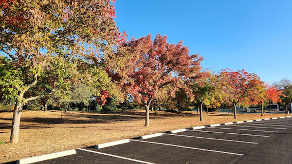 Maxwell Farms Regional Park