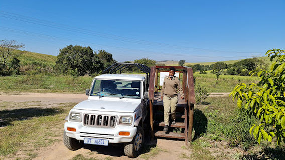 The Hidden Forest Wildlife Sanctuary