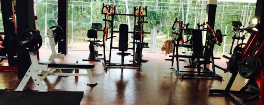 Iron Gym | Bodybuilding And & Fitness Center