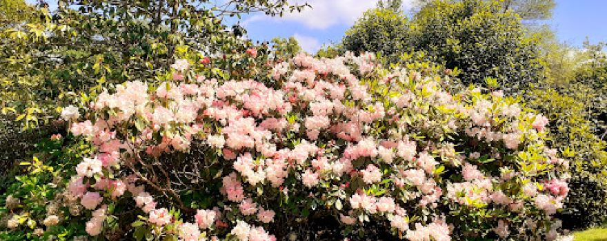 JARDINS DE TREUSCOAT